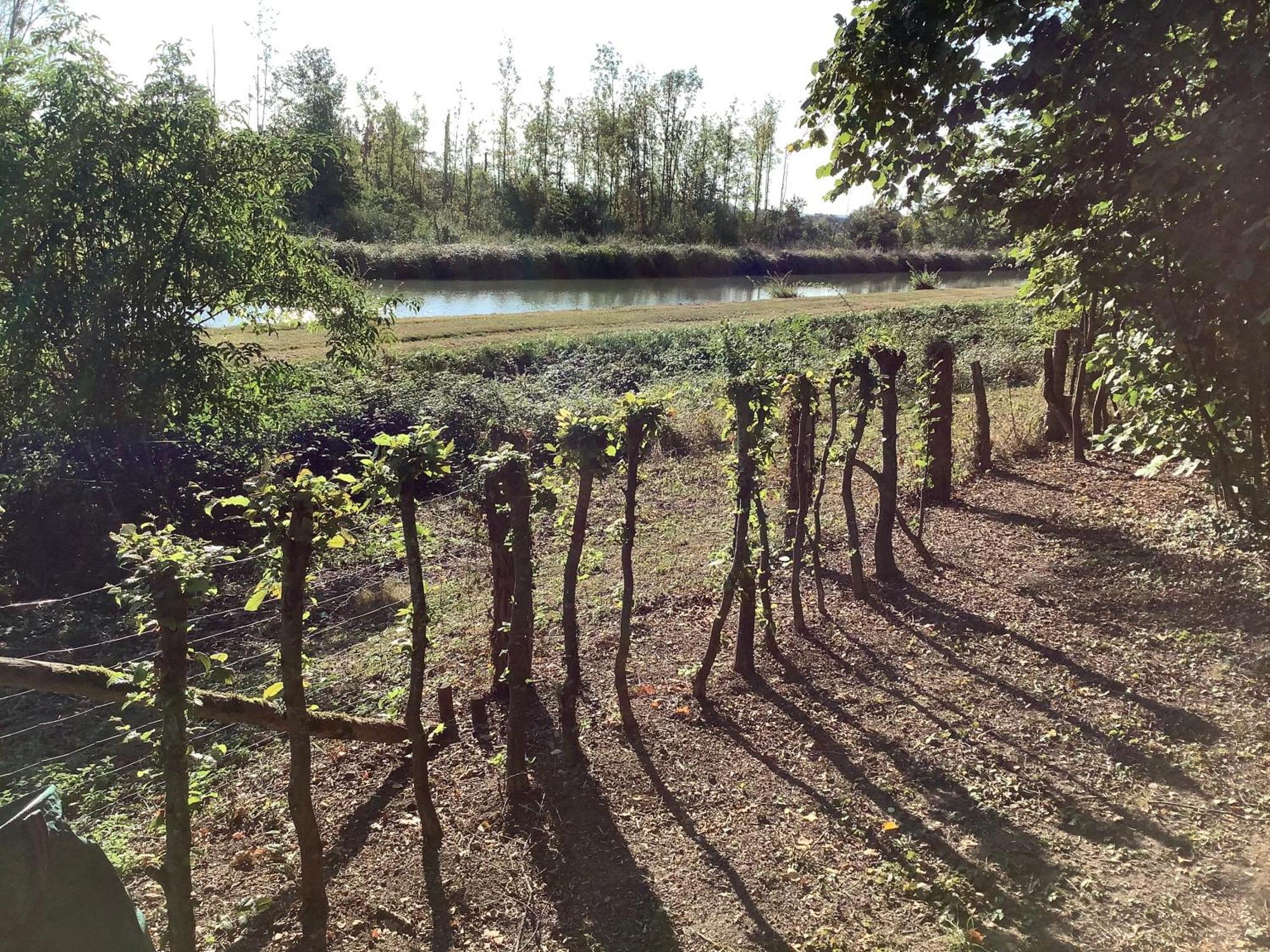 Autour Des Vignes B&B Herry Eksteriør billede