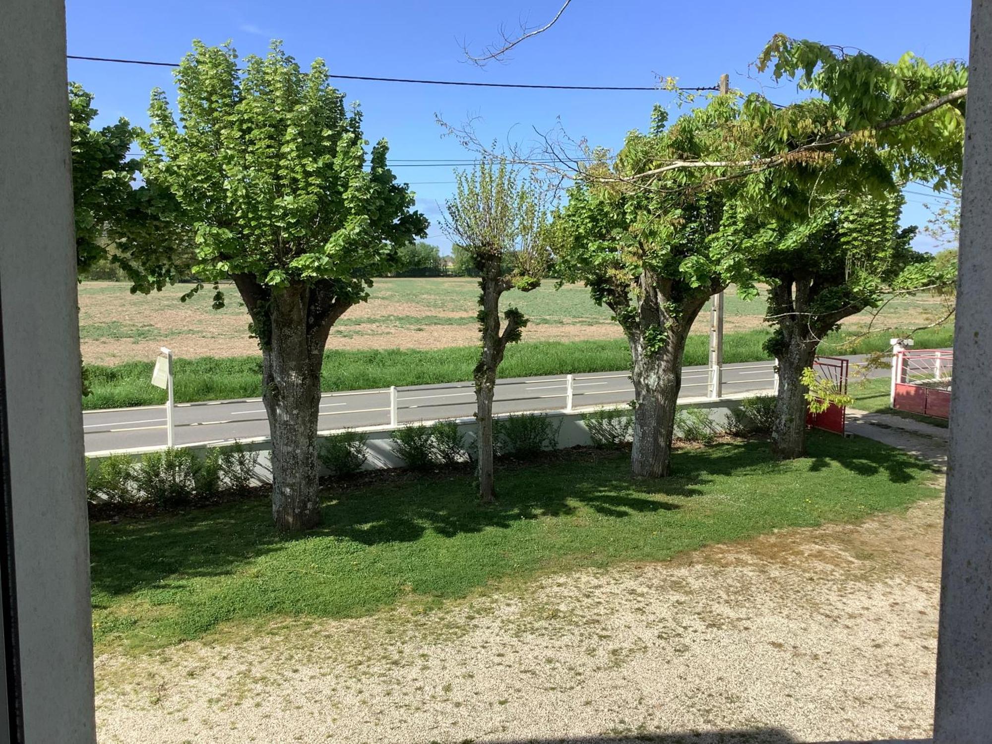 Autour Des Vignes B&B Herry Eksteriør billede